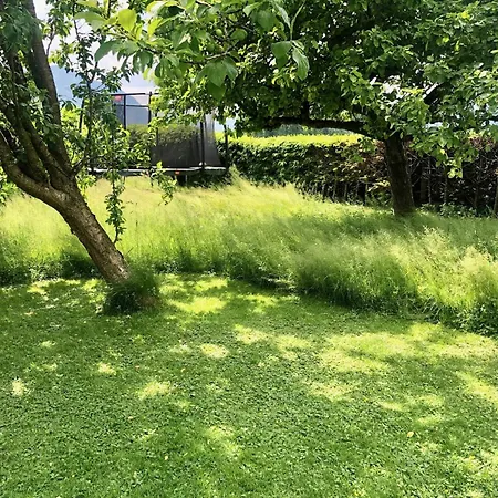 Almaubayern - Mit Bergblick Und Grossem Garten * Übersee