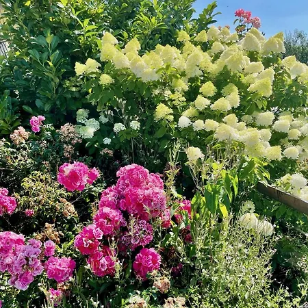 Almaubayern - Mit Berblick Und Grossem Garten *